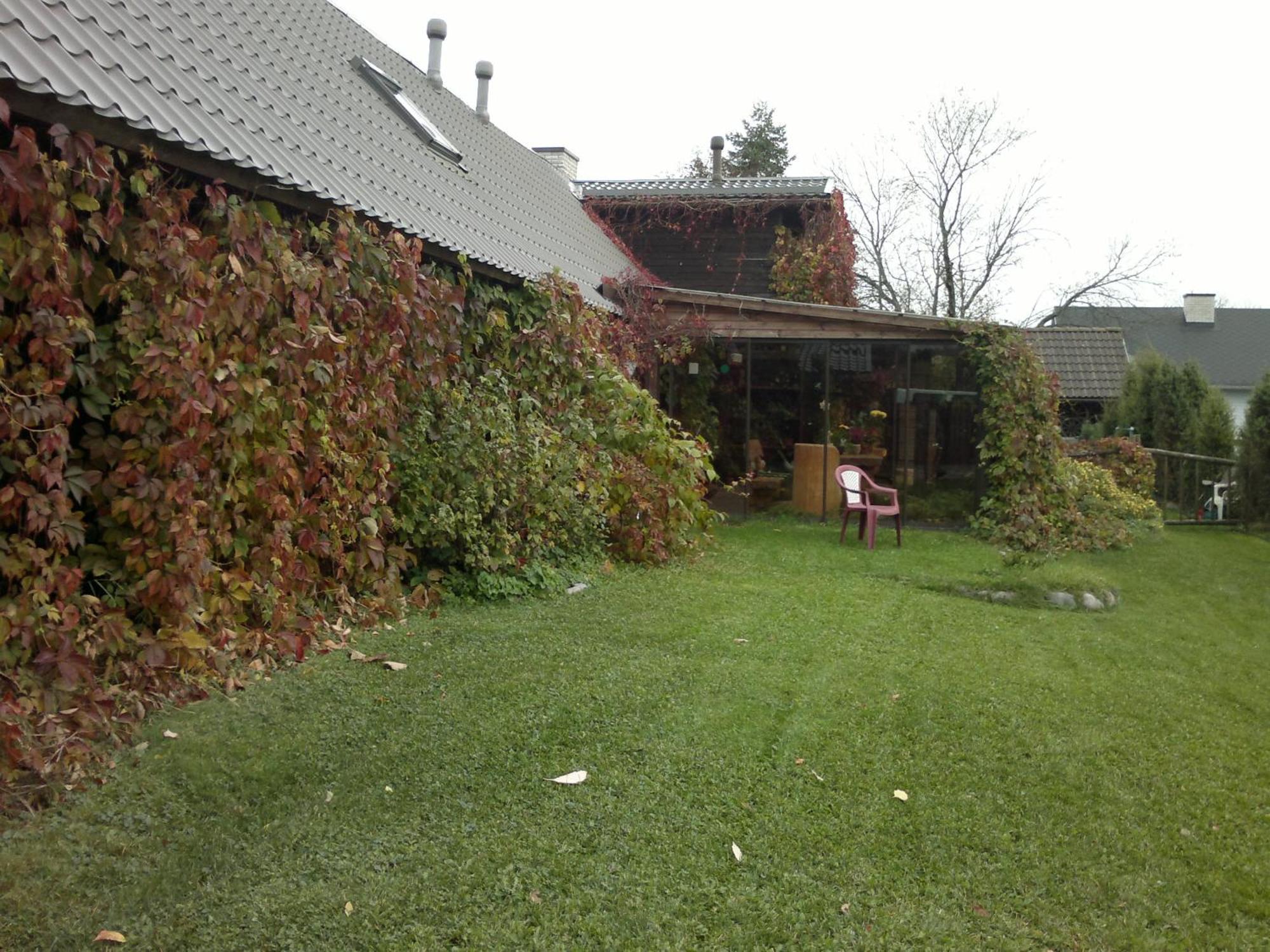 Laane Pansion Bed & Breakfast Käsmu Екстериор снимка
